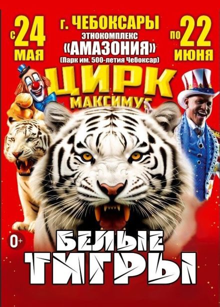 Цирк «Максимус». Шоу «Белые тигры Орландо»