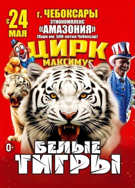 Цирк «Максимус». Шоу «Белые тигры Орландо»