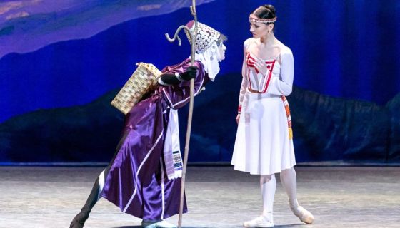 Балет «Дорога лебедей»