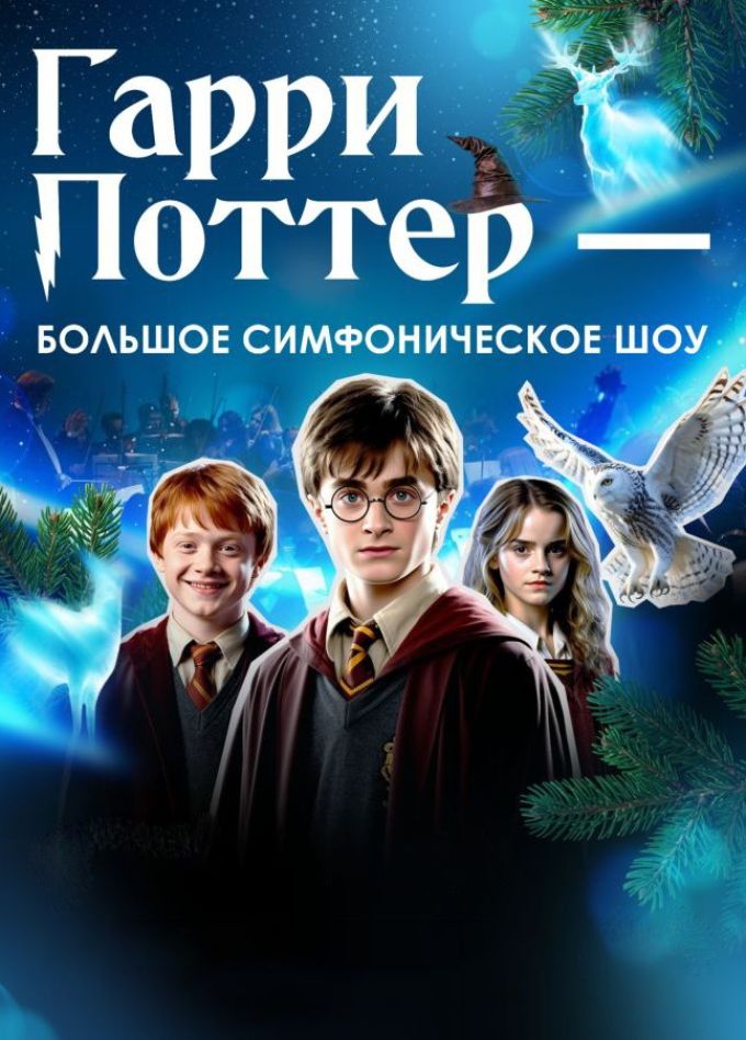 Концерт «Гарри Поттер - новогодняя симфоническая сюита», Новочебоксарск