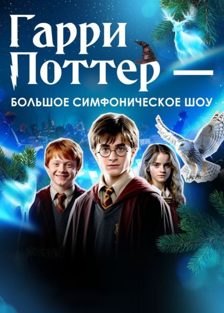 Концерт «Гарри Поттер - новогодняя симфоническая сюита», Новочебоксарск