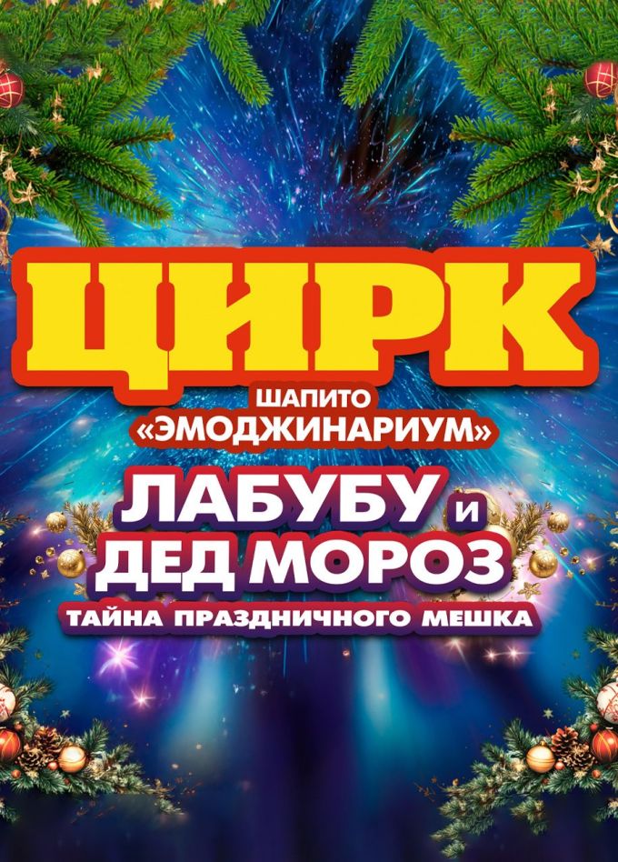 Новогодний цирк Деда Мороза