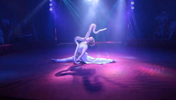 Новогодний цирк Деда Мороза