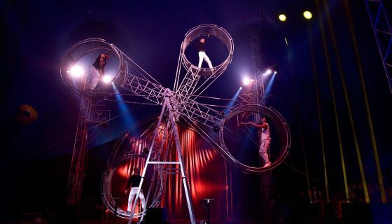 Цирк-шапито Демидовых