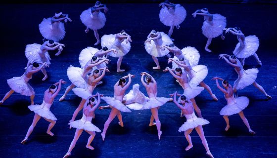 Балет «Лебединое озеро», Шумерля