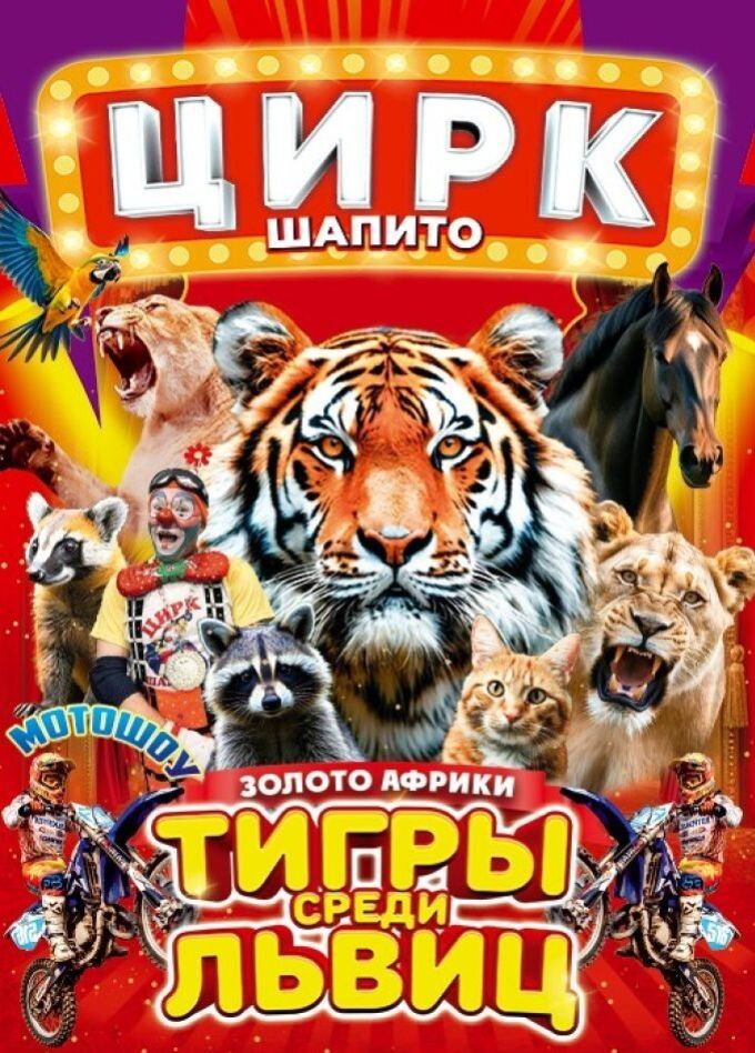 Цирк-шапито «Золото Африки»