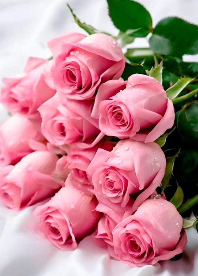 Праздничный концерт звезд чувашской эстрады, Новочебоксарск