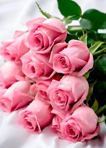 Праздничный концерт звезд чувашской эстрады, Новочебоксарск