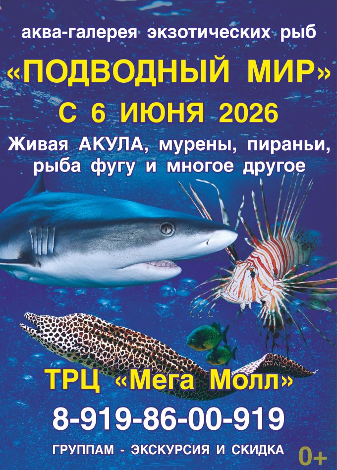 Аква-галерея экзотических рыб «Подводный мир»