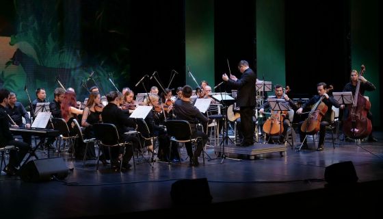 CGM Orchestra. Музыкальные миры Гарри Поттера